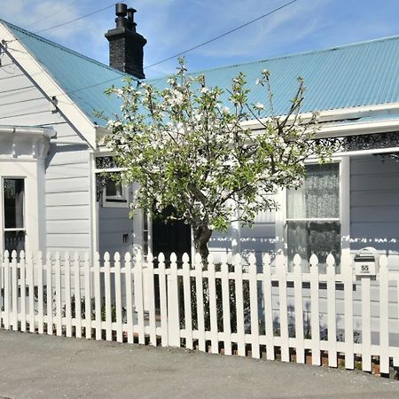In Dunedin'S Heart, Full House, Full Sun, Full Chill, Why Stay At A Hotel When You Can Afford An Entire House ภายนอก รูปภาพ
