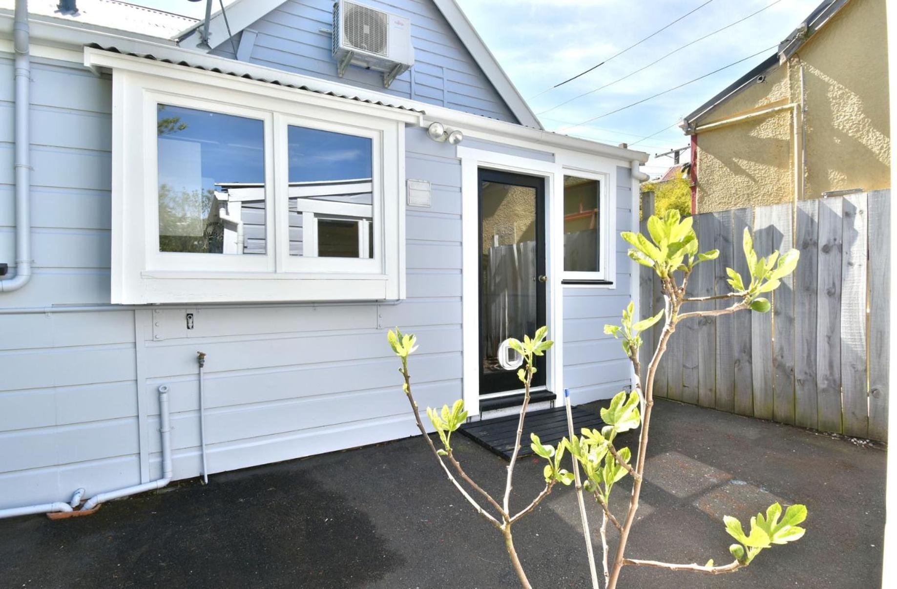 In Dunedin'S Heart, Full House, Full Sun, Full Chill, Why Stay At A Hotel When You Can Afford An Entire House ภายนอก รูปภาพ