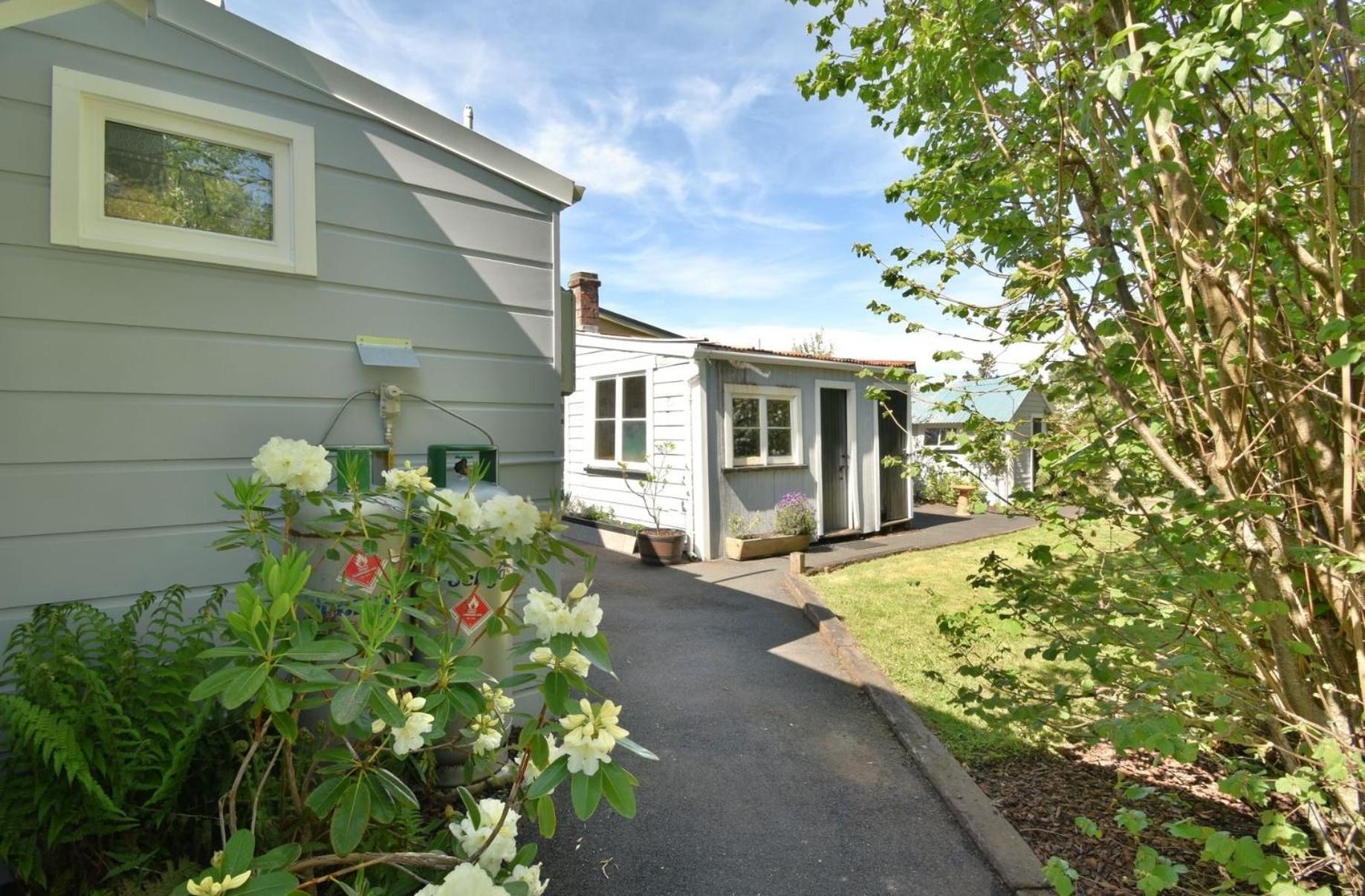In Dunedin'S Heart, Full House, Full Sun, Full Chill, Why Stay At A Hotel When You Can Afford An Entire House ภายนอก รูปภาพ