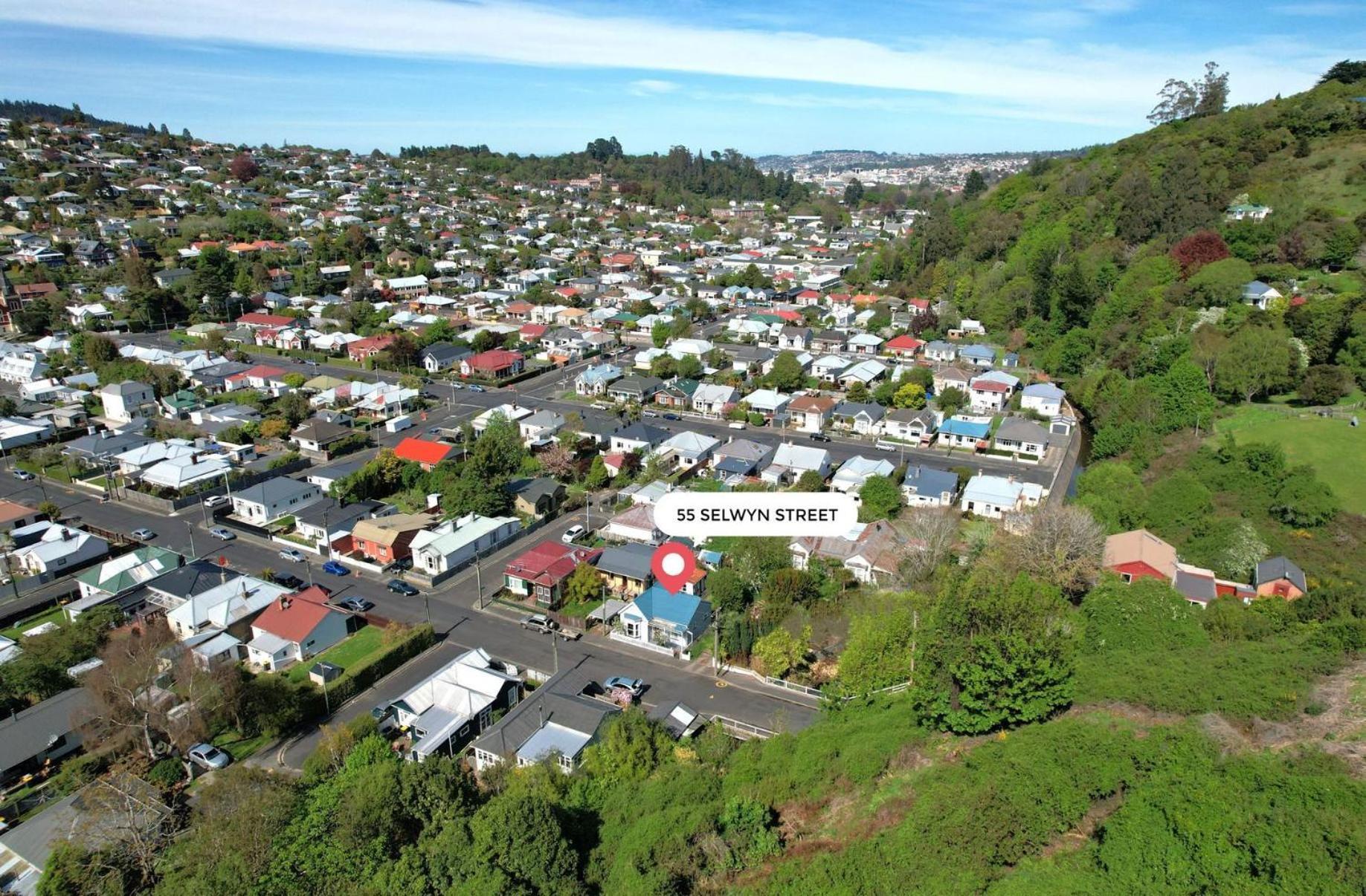 In Dunedin'S Heart, Full House, Full Sun, Full Chill, Why Stay At A Hotel When You Can Afford An Entire House ภายนอก รูปภาพ