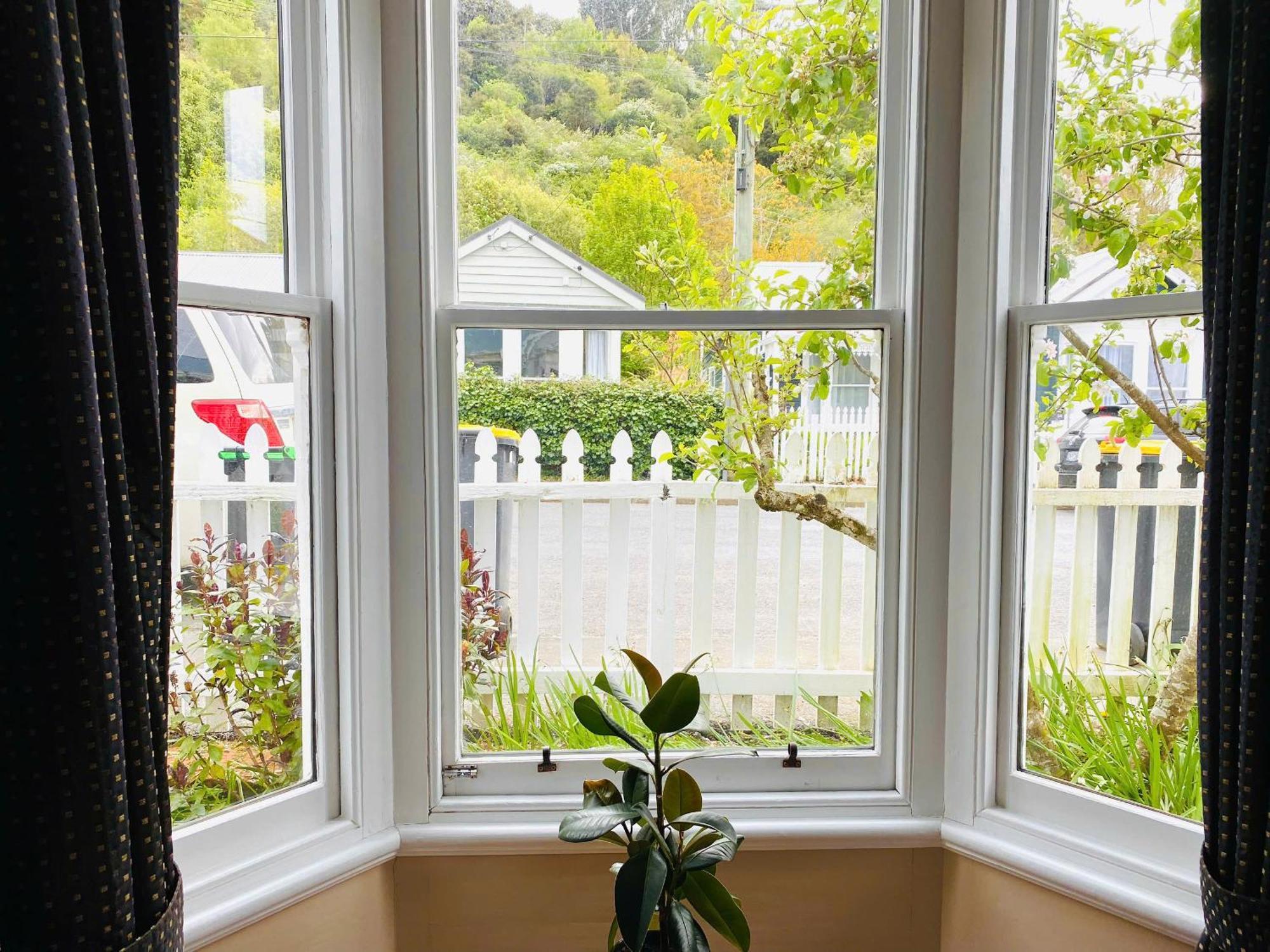 In Dunedin'S Heart, Full House, Full Sun, Full Chill, Why Stay At A Hotel When You Can Afford An Entire House ภายนอก รูปภาพ
