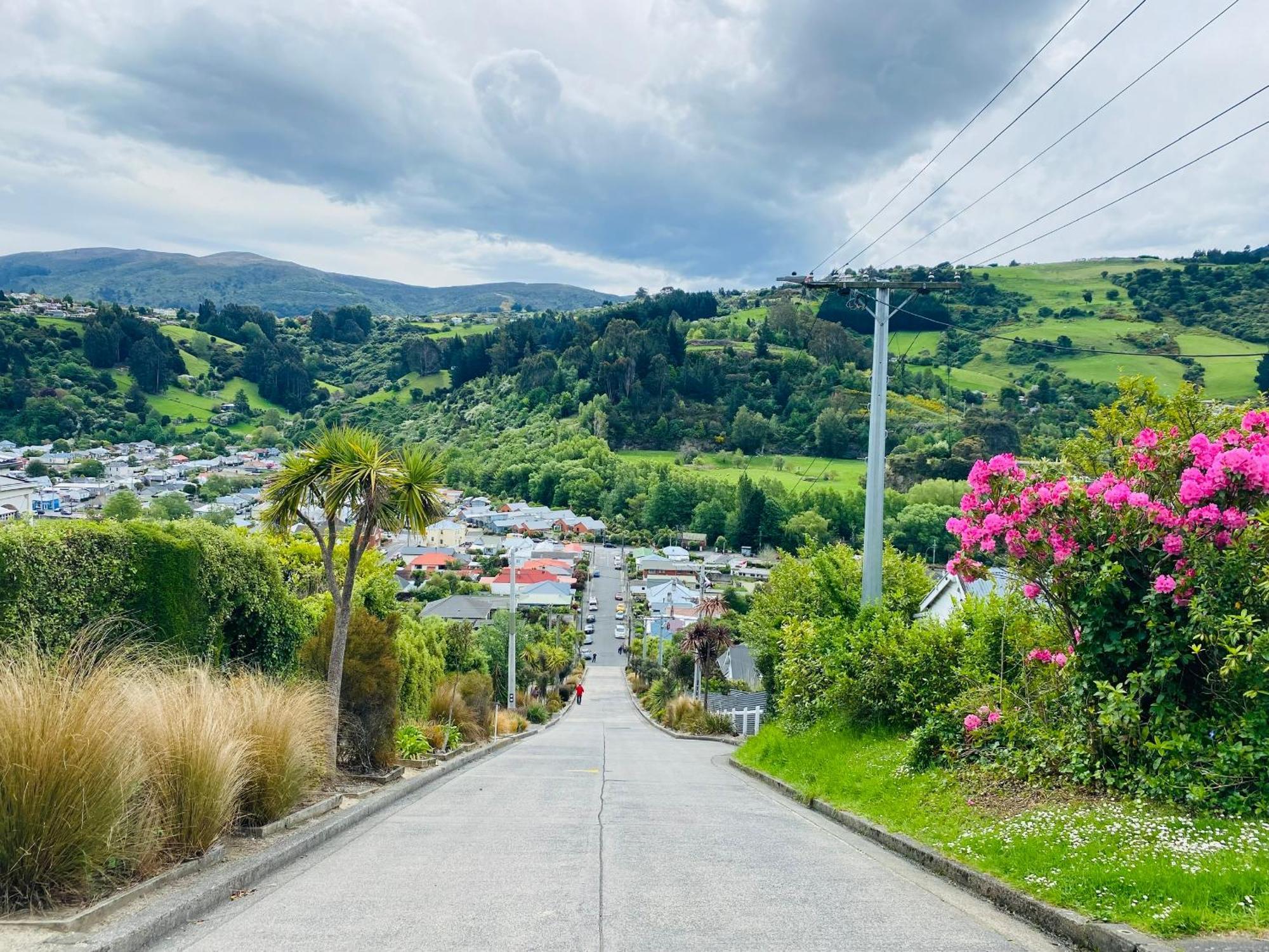 In Dunedin'S Heart, Full House, Full Sun, Full Chill, Why Stay At A Hotel When You Can Afford An Entire House ภายนอก รูปภาพ